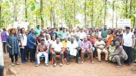 Restauration forestière : A Yamoussoukro, l’accès des femmes à la terre au cœur des échanges