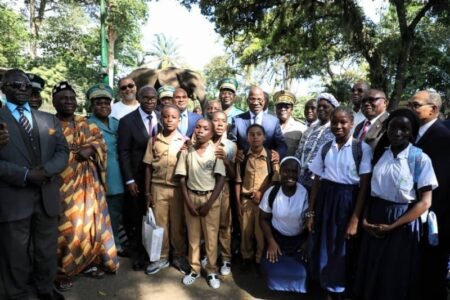 Sauvegarde des éléphants : Assahoré Konan sonne la mobilisation