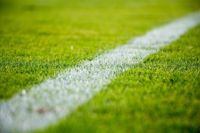 Wahi, Zabi et Tapé, les nouveaux trois internationaux ivoiriens en Ligue 1 cet été