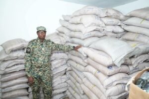 Côte d’Ivoire : saisie de 12 tonnes de sucre et de boissons frelatées à Assinie Côte d'Ivoire : saisie de 12 tonnes de sucre et de boissons frelatées à Assinie