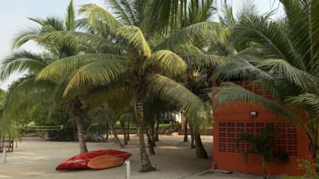 Ni le Maroc, ni la Tunisie : les voyageurs se tournent désormais vers le nouveau "Miami de l'Afrique"