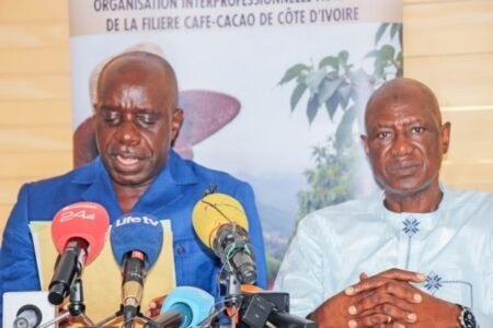Côte d'Ivoire : Suite à une fausse vidéo de grève, l'OIA Café-Cacao exige une rectification immédiate