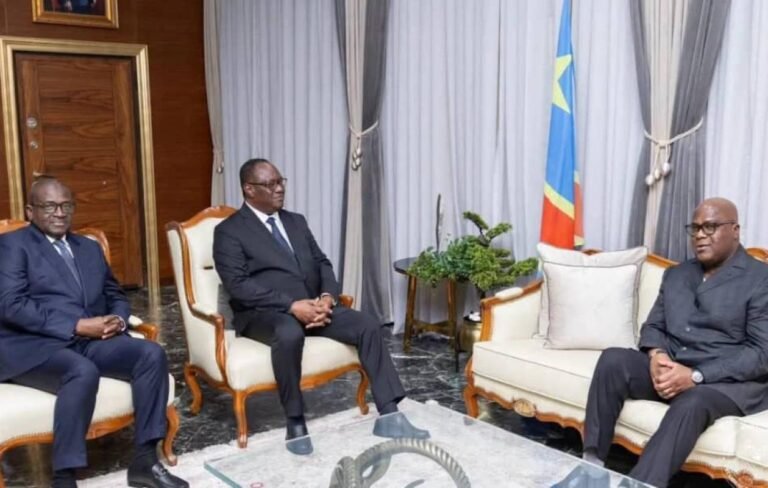 La Côte d'Ivoire et la RDC scellent le renforcement de leur coopération bilatérale à Kinshasa
